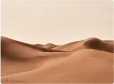 Warm desert landscape