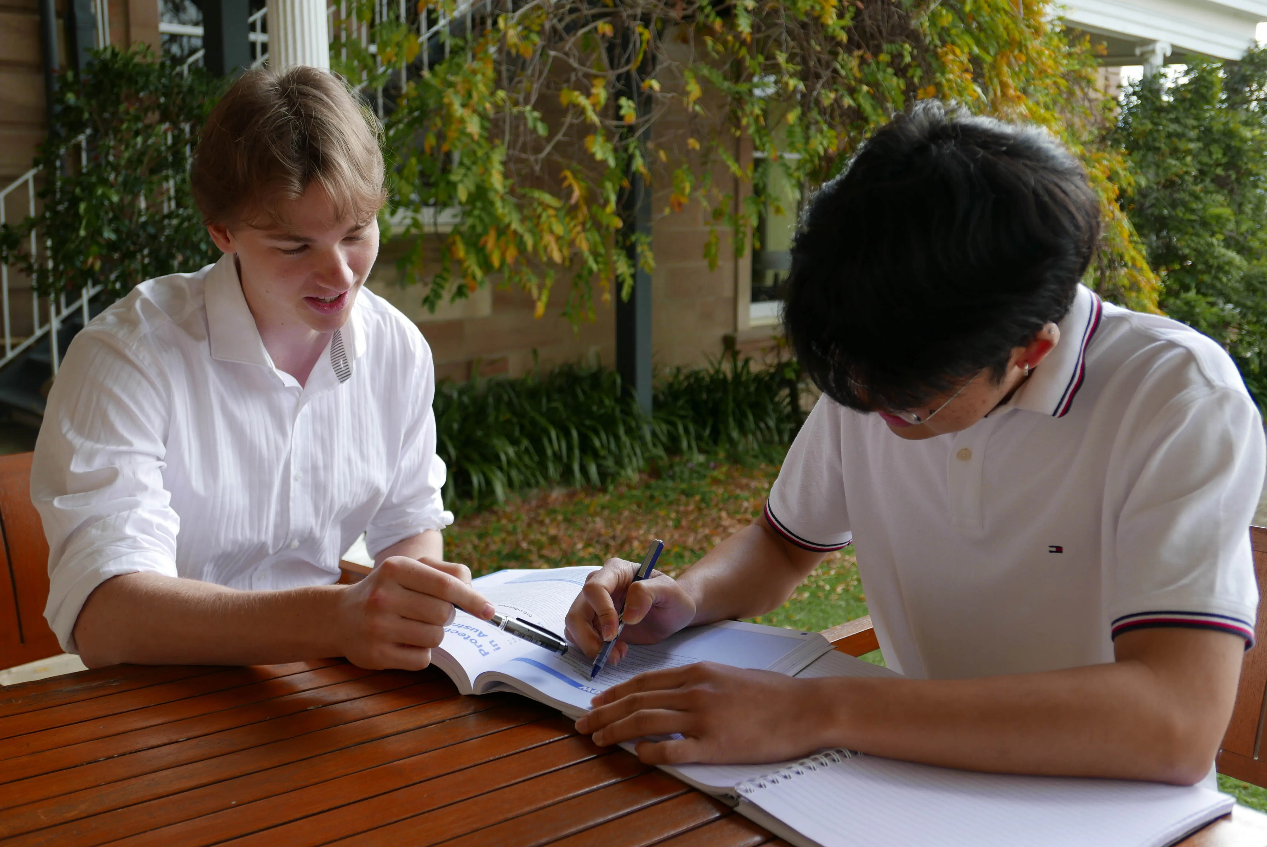 Two students studying together
